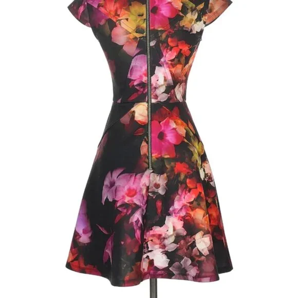 Ted Baker London Dress